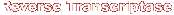 Reverse Transcriptase